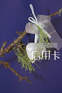 信用卡 逾期 贷款受阻 信用卡 逾期 贷款受阻